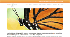 Desktop Screenshot of methodsense.com